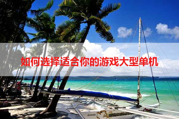 如何选择适合你的游戏大型单机
