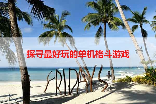 探寻最好玩的单机格斗游戏