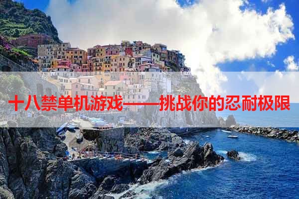 十八禁单机游戏——挑战你的忍耐极限