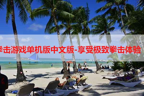拳击游戏单机版中文版-享受极致拳击体验！