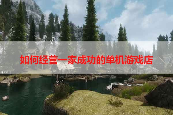 如何经营一家成功的单机游戏店