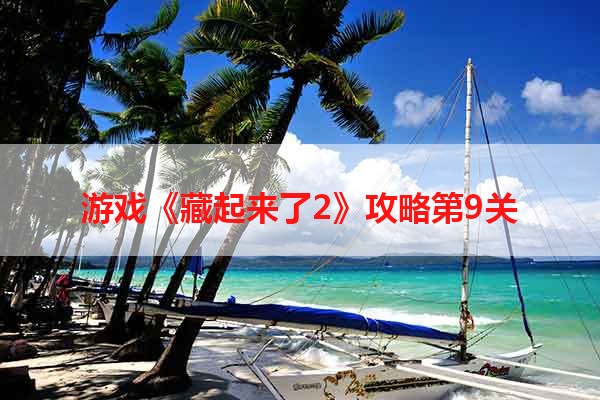 游戏《藏起来了2》攻略第9关