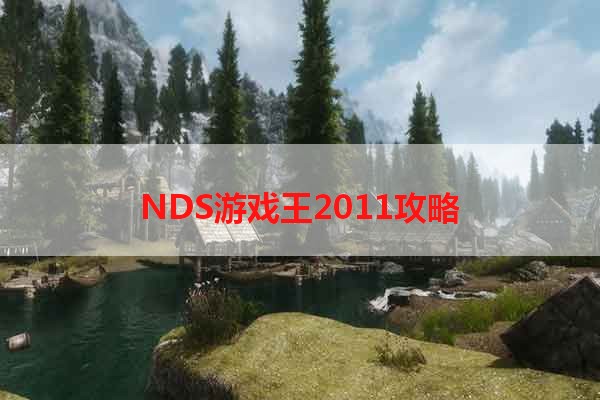 NDS游戏王2011攻略