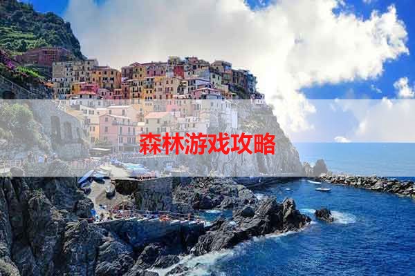 森林游戏攻略
