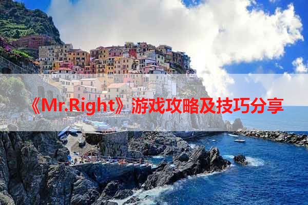 《Mr.Right》游戏攻略及技巧分享