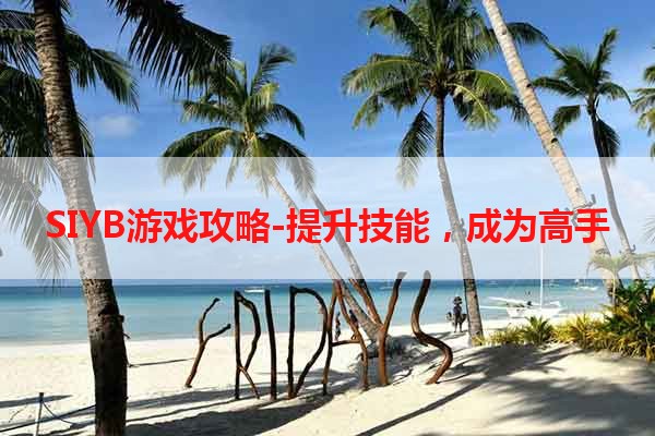 SIYB游戏攻略-提升技能，成为高手