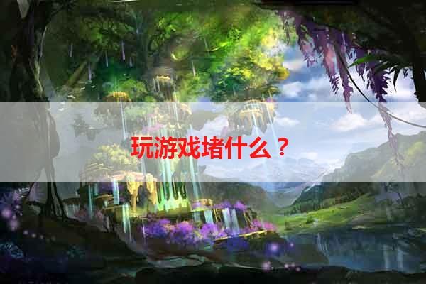 玩游戏堵什么？