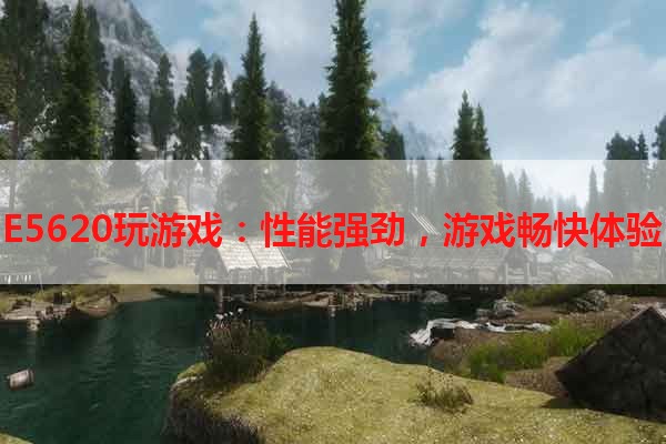 E5620玩游戏：性能强劲，游戏畅快体验