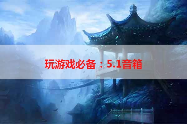 玩游戏必备：5.1音箱