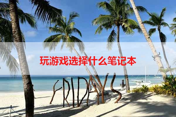 玩游戏选择什么笔记本