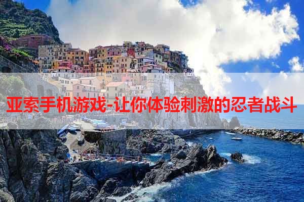 亚索手机游戏-让你体验刺激的忍者战斗