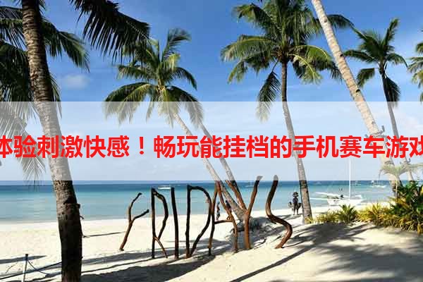 体验刺激快感！畅玩能挂档的手机赛车游戏