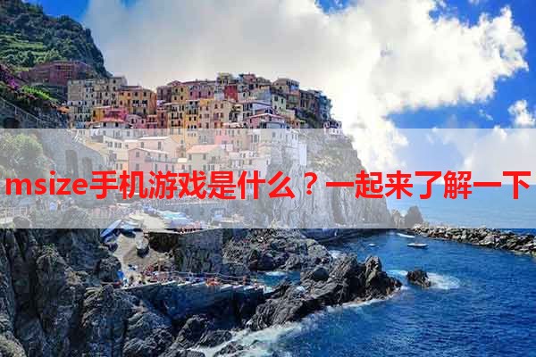 msize手机游戏是什么？一起来了解一下